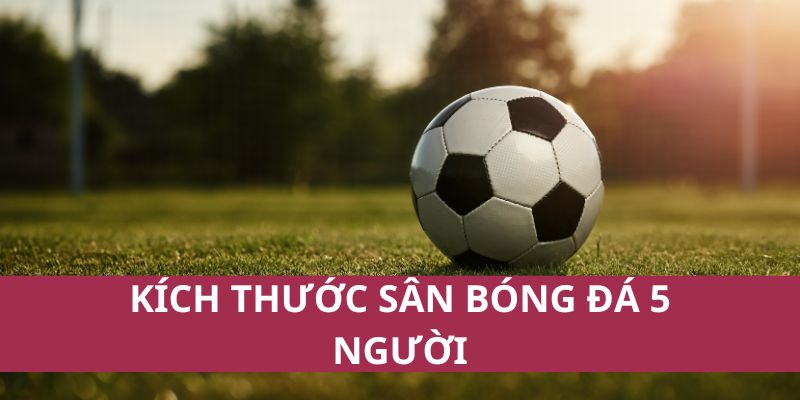Kích Thước Sân Bóng Đá 5 Người Mới Nhất 2025 Chuẩn FIFA 2 Đôi nét về kích thước sân bóng đá 5 người